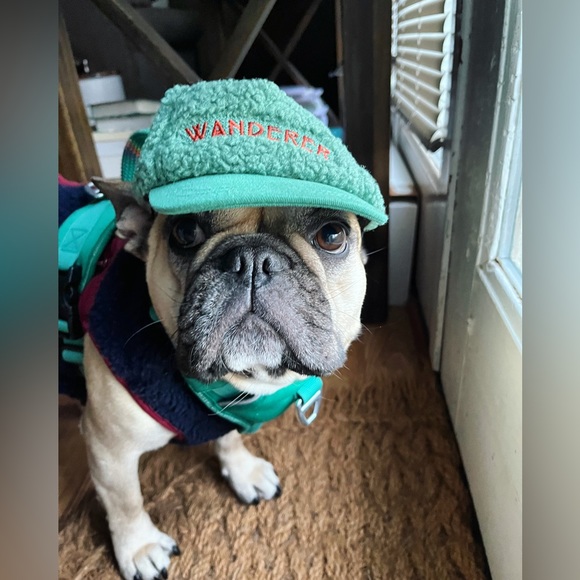 Hi! I’m Chelsea. - Picture 2 of 4